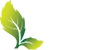 Planta
